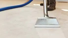 Carpet cleaning wand head gliding over a light carpet during hot-water extraction, Albany, NY.